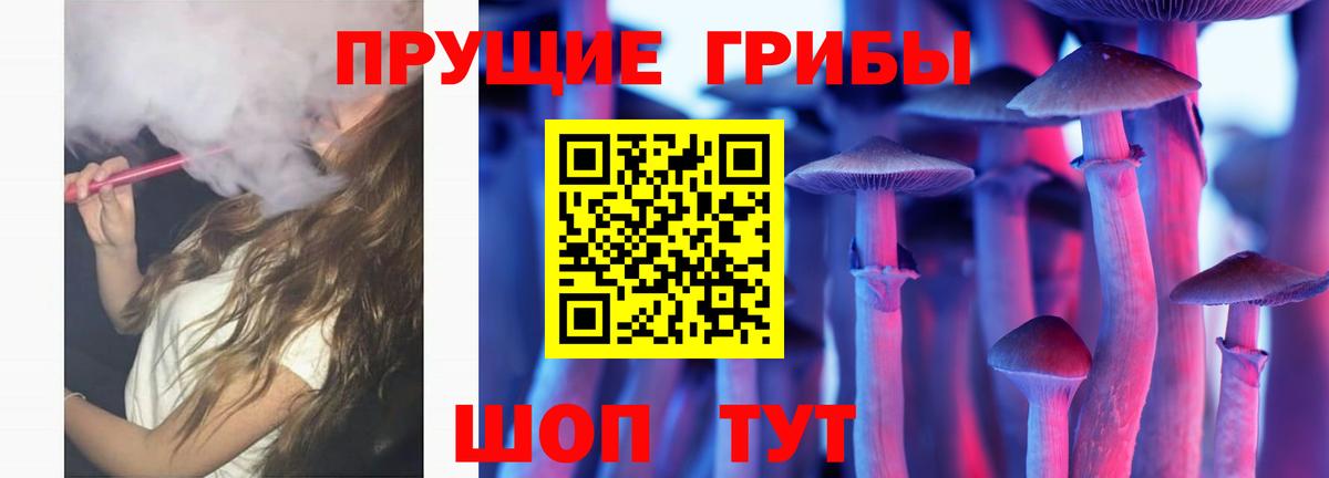 купить наркотик  Галлюциногенные грибы Cubensis  Вход с VPN  Галлюциногенные грибы Psilocybine cubensis  Лесосибирск 